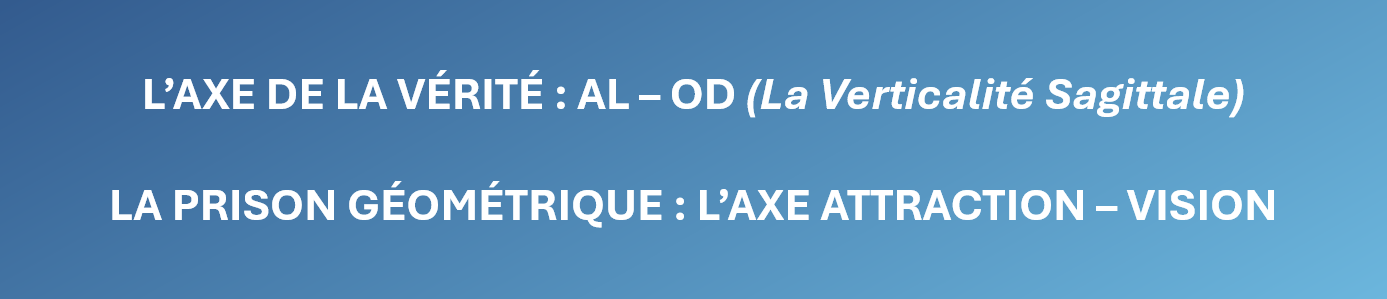 AL-OD et Attraction-Vision